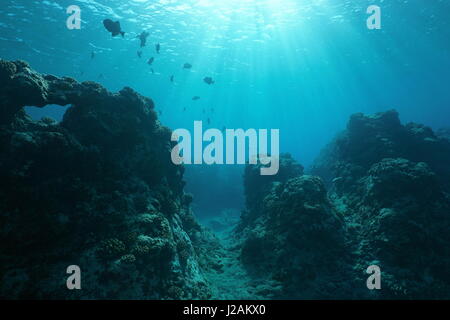 Pacific ocean floor underwater seascape with some fish and natural sunlight through water surface, fore reef of Huahine island, French Polynesia Stock Photo