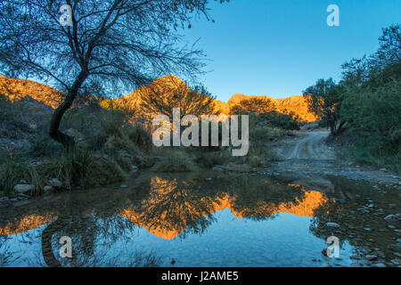 Desert mountains and a blue sky reflect perfectly in a small pond right on a dirt road - Namibia Stock Photo