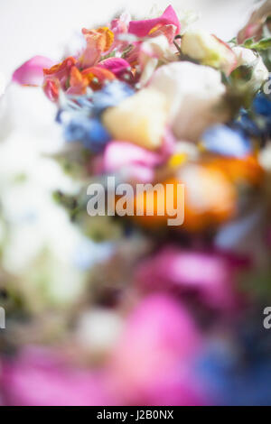Close-up of multi colored fresh flowers Stock Photo