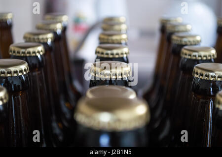 Beer Bottles in a Row Background Stock Photo