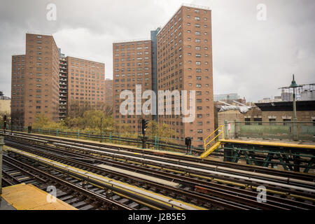 Manhattanville housing project in Harlem in New York Stock Photo - Alamy