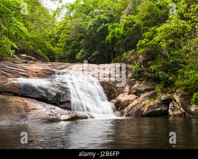 Small waterfall in between trees, in Joatinga park,near Paraty, Rio de Janeiro, Brazil. Stock Photo