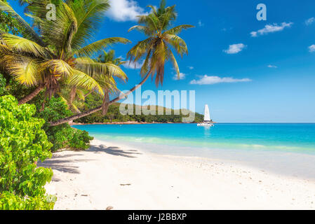 Tropical ocean beach with white sand, coconut palm trees, transparent turquoise water and sailing yacht in bright sunny day/ Stock Photo