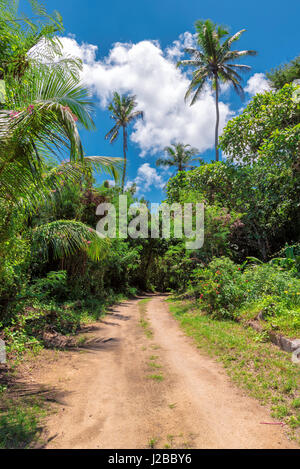 African Jungle road Stock Photo