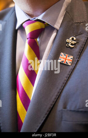 Detail of UKIP tie,badge and jacket Stock Photo