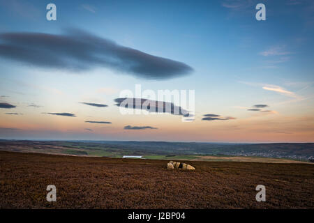 Wonderful sweeping views over North and West Yorkshire from the top of Beamsley Beacon near Ilkley Stock Photo