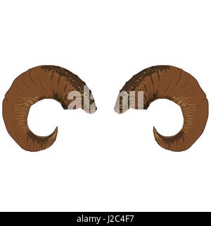 Vector Animal Horns Isolated Stock Vector