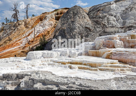 Travertine terraces, hot springs, mineral deposits, Palette Spring, Lower Terraces, Mammoth Hot Springs Stock Photo