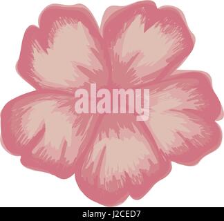 white background with watercolor of malva flower in pink Stock Vector