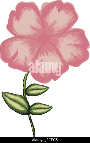 white background of watercolor malva flower in pink with stem and leaves Stock Vector