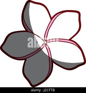 red contour of malva flower Stock Vector