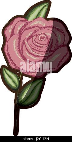 Realistic vector illustration with rose leaves isolated on white