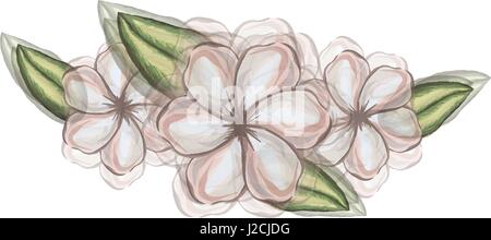 watercolor silhouette of malva plant with flowers white and leaves with transparent shadow Stock Vector