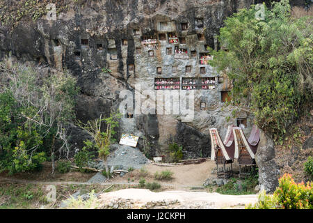 Indonesia, Sulawesi Selatan, Tana Toraja, Torajaland, Tau Dew are carved wooden figures, dew are carved wooden figures, rock tombs, deadly cult Stock Photo