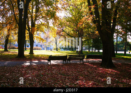 City park with benches in late autumn in medieval citadel of Belgrade, Serbia. Stock Photo