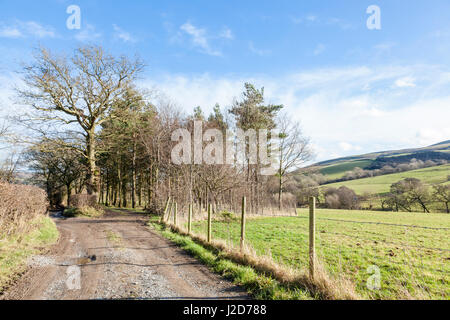 Rough farm track through countryside, Shatton, Derbyshire, England, UK Stock Photo