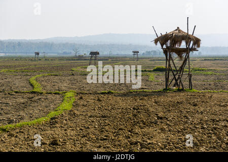 Agricultural landscape with watchtowers near the village Pandavnagar in Chitwan National Park Stock Photo