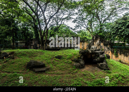 A little artificial hill with rocks made from cement surrounding by trees photo taken in Jakarta Indonesia Stock Photo