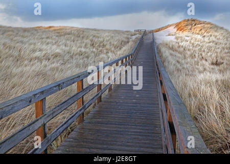 Paths of wooden planks through dunes with beach grass, near Kampen, Sylt, Schleswig-Holstein, Germany Stock Photo