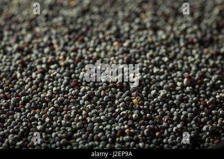 Raw Organic Black Poppy Seeds in a Bowl Stock Photo