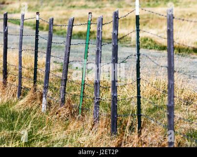 Barbed wire pasture fence; Vandaveer Ranch; Salida; Colorado; USA Stock Photo