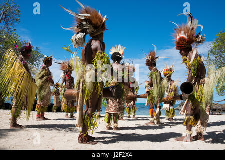 Melanesia, Papua New Guinea, Tufi. Traditional welcome sing-sing dance with villagers dressed in ornate tropical bird feather headdresses and tapa cloth. Typical wooden drums. (Large format sizes available) Stock Photo