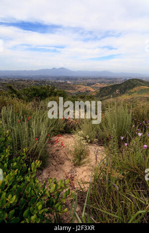 Aliso and Wood Canyons Wilderness Park hiking paths in Laguna Beach, California in spring Stock Photo