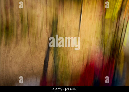 Photographic Abstraction with a wooden feel Stock Photo