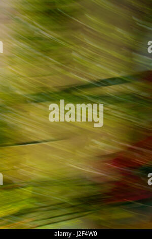Photographic Abstraction in Greens and Reds Stock Photo