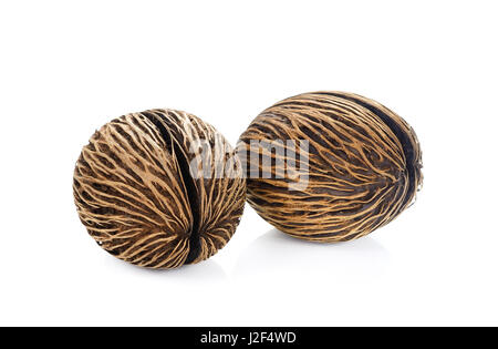 Suicide tree seed. Pong pong seed or Othalanga. Cerbera oddloam's seed on white background Stock Photo