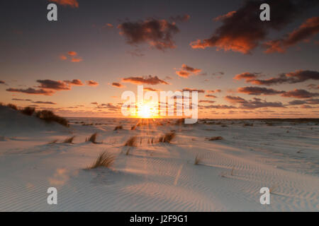 sunrise on the northern beach of Schiermonnikoog above the embryo dunes Stock Photo