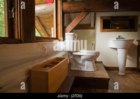 Toilet and sink exposed in the open in the master bedroom on the mezzanine inside a cottage style log home Stock Photo
