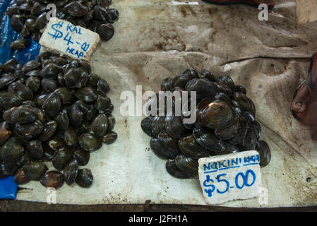 Bivalves for Sale (Kai), Suva Sea Food Market, Suva, Viti Levu, Fiji. Stock Photo