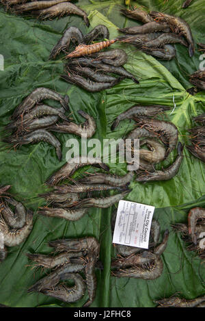 Prawns for sale, Suva Sea Food Market, Suva, Viti Levu, Fiji. Stock Photo