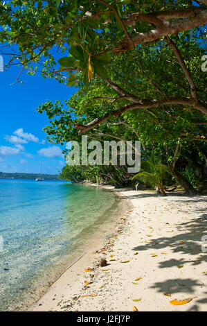 Beach at the Aore Islet before Espiritu Santo Island, Vanuatu, South Pacific Stock Photo