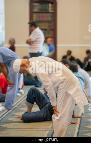 An elderly Middle Eastern American man in tradition dress bows at prayer during Muslim afternoon services at an Anaheim, CA, mosque. Stock Photo
