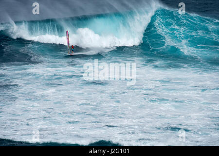 USA, Hawaii, Maui. Robby Naish windsurfing monster waves at Pe'ahi Jaws, North Shore Maui. Stock Photo