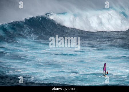 USA, Hawaii, Maui. Robby Naish windsurfing monster waves at Pe'ahi Jaws, North Shore Maui. Stock Photo