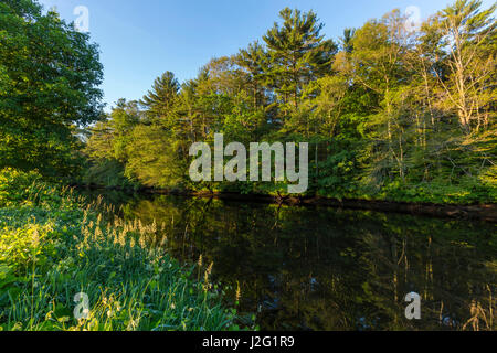 Early morning on the Taunton River at a Wildlands Trust preserve in Raynham, Massachusetts. Stock Photo