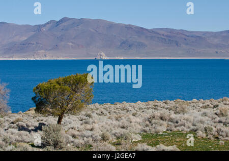 USA, Nevada, Nixon, Pyramid Lake Paiute Tribe Reservation, showing Lake Mountains and East end of Pyramid Lake Stock Photo