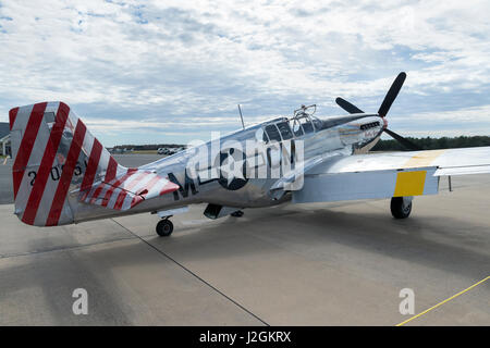 USA, Florida, Leesburg, WW II military airplanes (Large format sizes available) Stock Photo