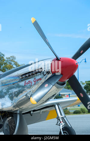 USA, Florida, Leesburg, WW II military airplanes Stock Photo