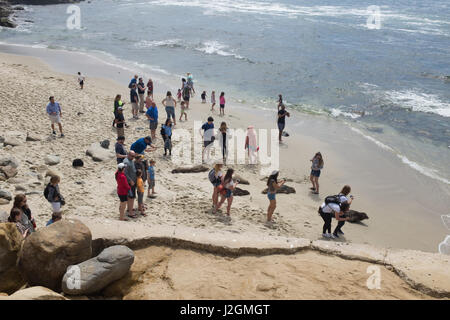 Views of La Jolla, San Diego, California Stock Photo - Alamy