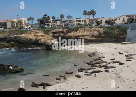 Coastal views at La Jolla, San Diego, California Stock Photo - Alamy