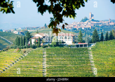 Italy, Piedmont, panorama of vineyards in Langa Stock Photo