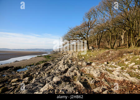 View of Morecambe Bay from Far Arnside, Cumbria, England. Stock Photo