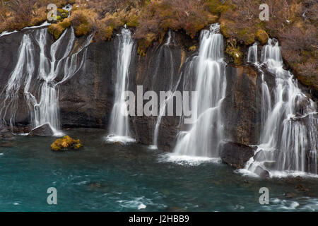 Hraunfossar, series of waterfalls pouring into the Hvítá river in winter, Vesturland, Borgarfjörður, western Iceland Stock Photo