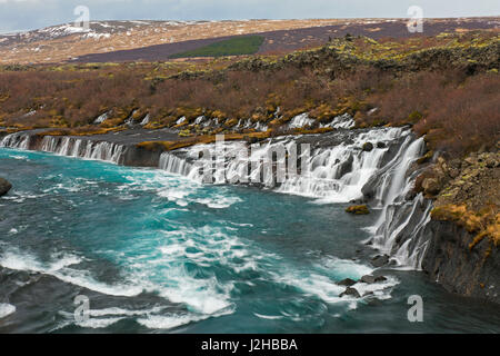 Hraunfossar, series of waterfalls pouring into the Hvítá river in winter, Vesturland, Borgarfjörður, western Iceland Stock Photo