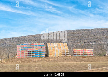 BARRYDALE, SOUTH AFRICA - MARCH 25, 2017: Crates at a fruit packing warehouse on the scenic Route 62 between Barrydale and Montagu in the Western Cape Stock Photo