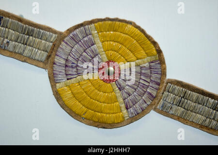 Porcupine quill native hi-res stock photography and images - Alamy